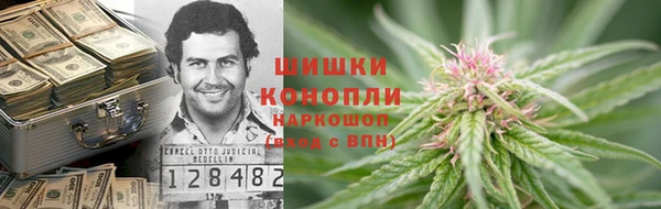 PSILOCYBIN Дмитриев